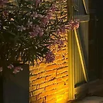 Le Clos De Mara Issus