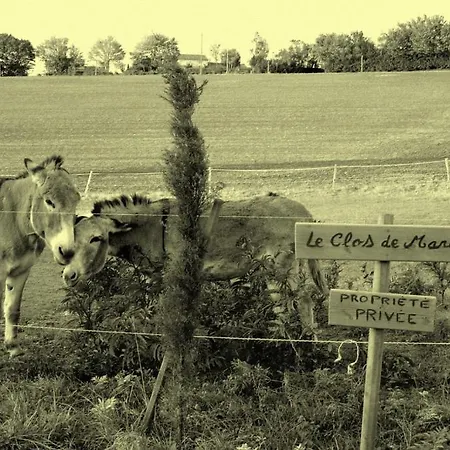 招待所 Le Clos De Mara