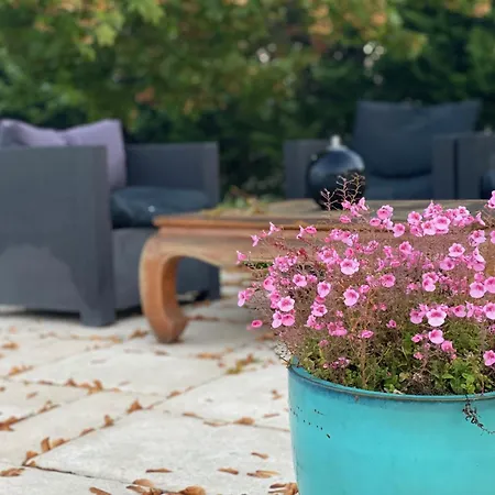 بيت ضيافة Le Clos De Mara