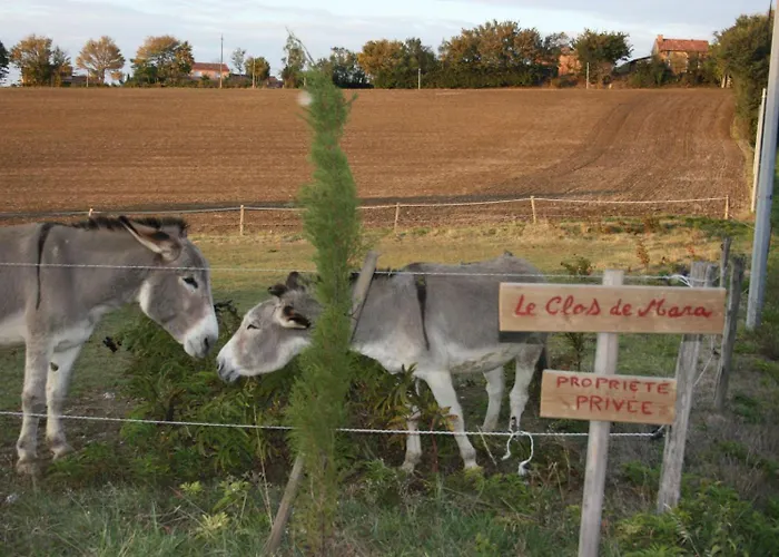 Le Clos De Mara Pensión Issus