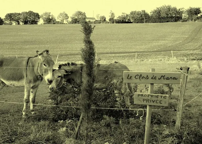 Pensión Le Clos De Mara